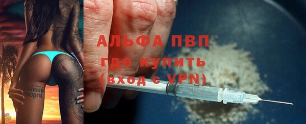 ГАЛЛЮЦИНОГЕННЫЕ ГРИБЫ Надым