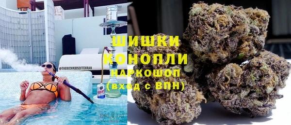 ECSTASY Михайлов