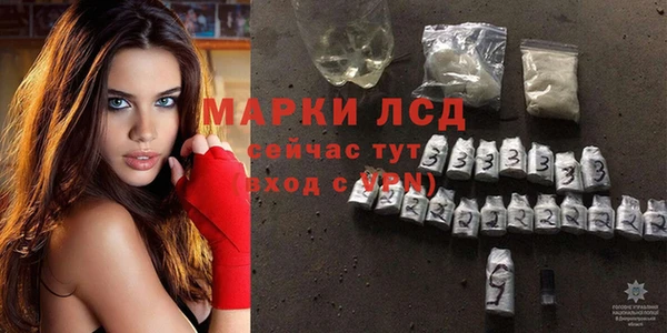 ECSTASY Михайлов