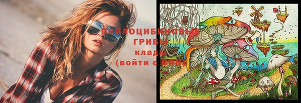 ECSTASY Михайловка