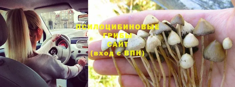 ссылка на мегу как зайти  купить  сайты  Комсомольск  Галлюциногенные грибы мухоморы 